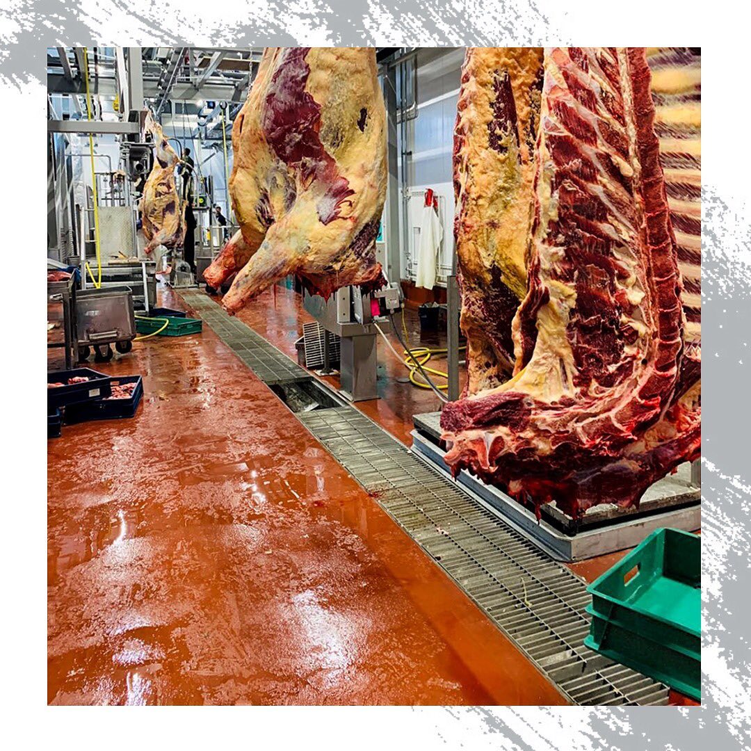 Покрытие Linolit®️ Lincrete®️ SL для пищевой промышленности